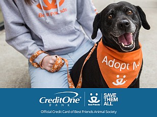 Credit One Bank Best Friends credit card review Credit One Bank Best Friends credit card review