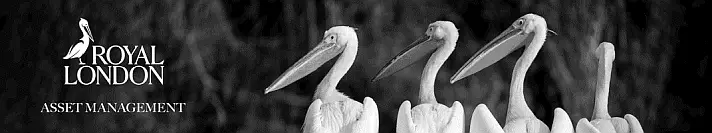 Royal London Asset Management (RLAM)